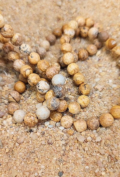 Bild "Schmuck Mallorca :Landschaftsjapsis-400.jpg"